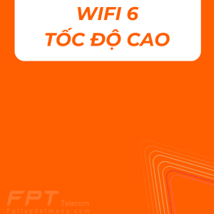 Wifi 6 FPT