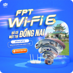 Lắp đặt internet FPT Đồng Nai