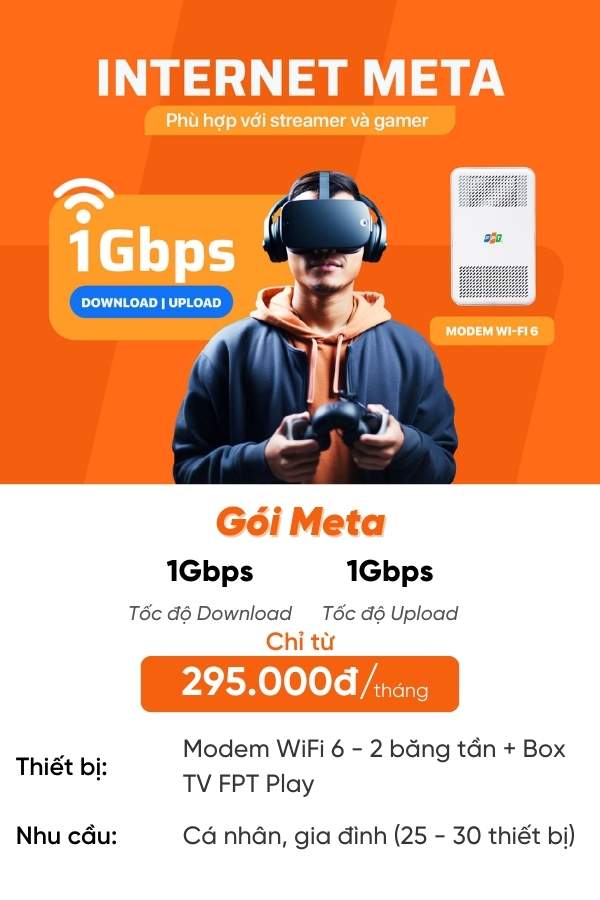 Gói Meta FPT