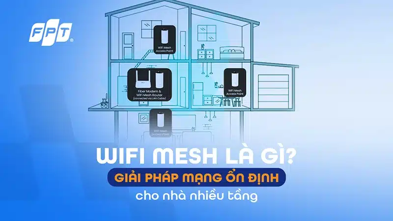 WiFi Mesh FPT