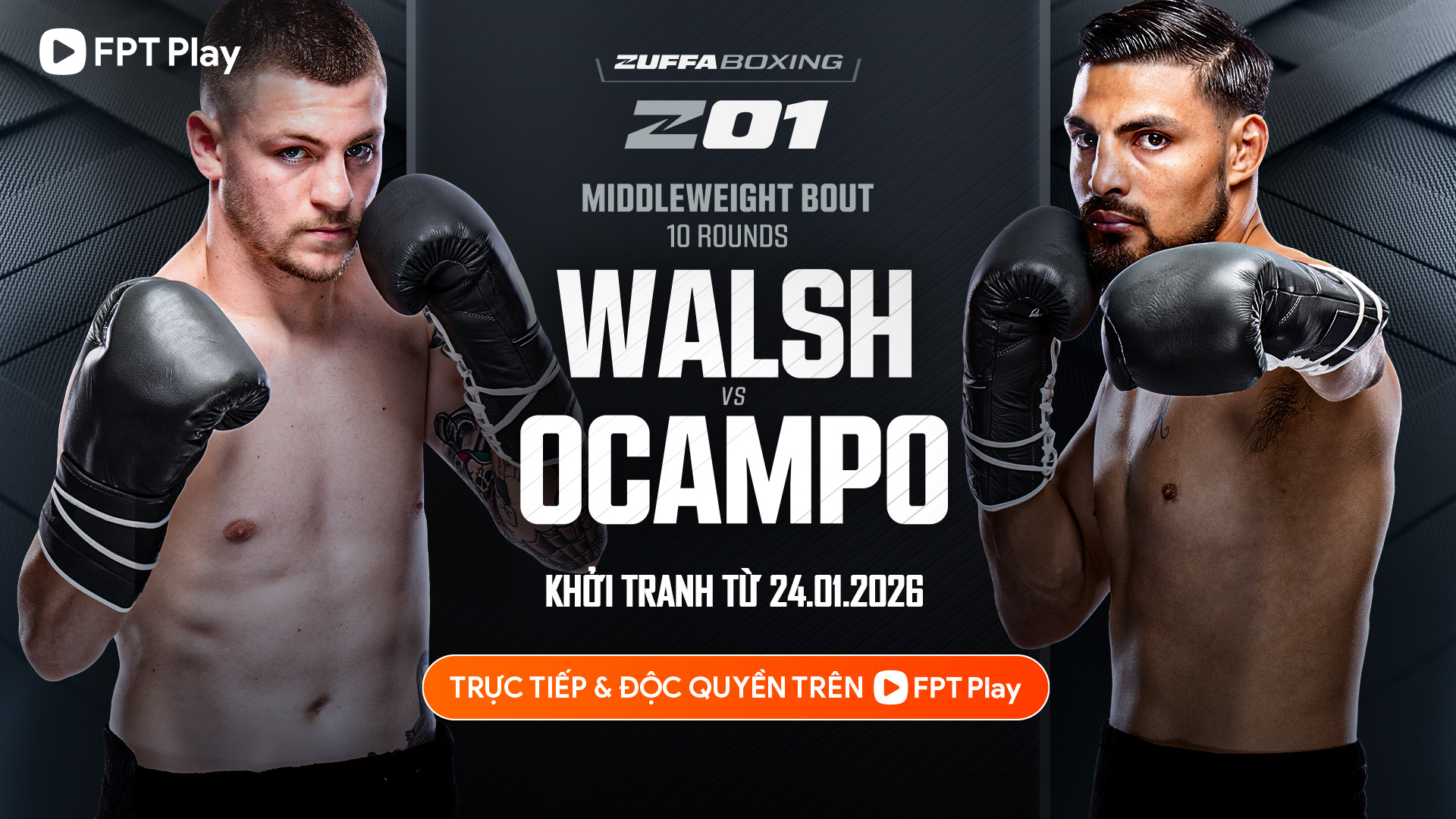 FPT độc quyền Zuffa Boxing